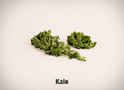 5633-Kale-cropped-full-res copy